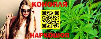 mdpv Новодвинск