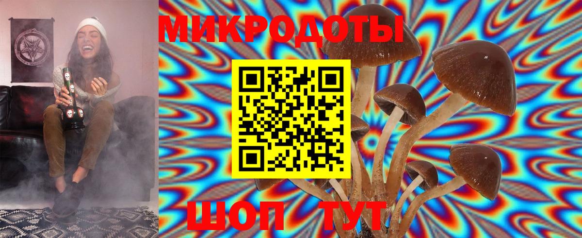 Курганинск  Псилоцибиновые грибы мухоморы  Вход с VPN 